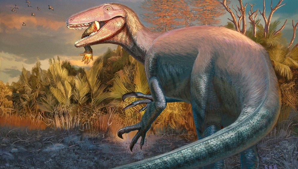 Científicos del CONICET descubren en Chubut un dinosaurio carnívoro que habría sido de los últimos en extinguirse