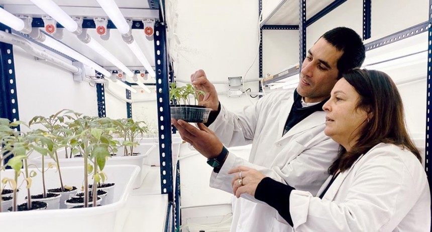 Ciencia con impacto productivo: reutilizan residuos cerveceros para generar productos con valor agregado