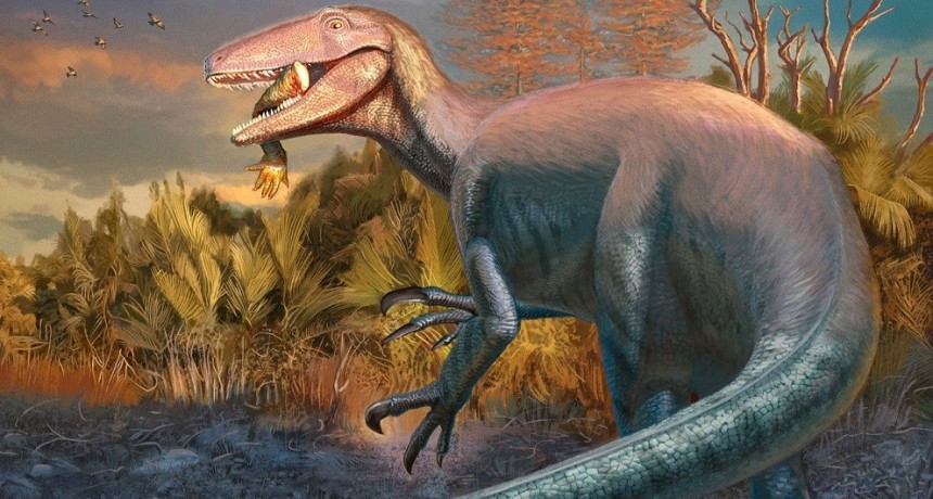 Científicos del CONICET descubren en Chubut un dinosaurio carnívoro que habría sido de los últimos en extinguirse