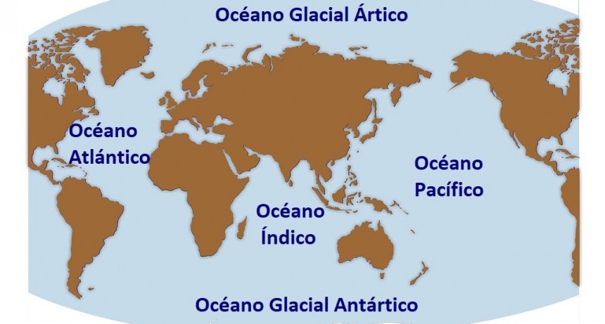 ¿Cuál es el depredador más temido del océano?
