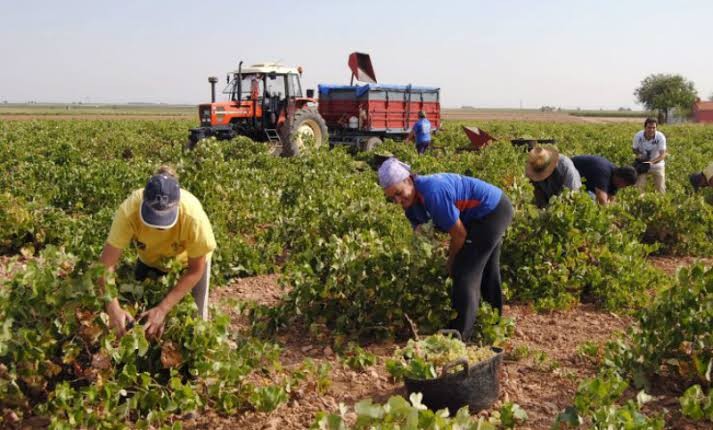Alerta en el campo: 120.000 empleos rurales podr&iacute;an quedar en riesgo tras vencer un decreto clave