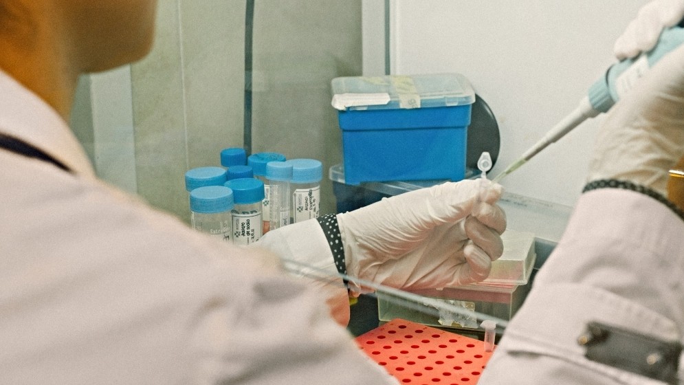 Descubren un blanco terap&eacute;utico contra el c&aacute;ncer de h&iacute;gado m&aacute;s frecuente