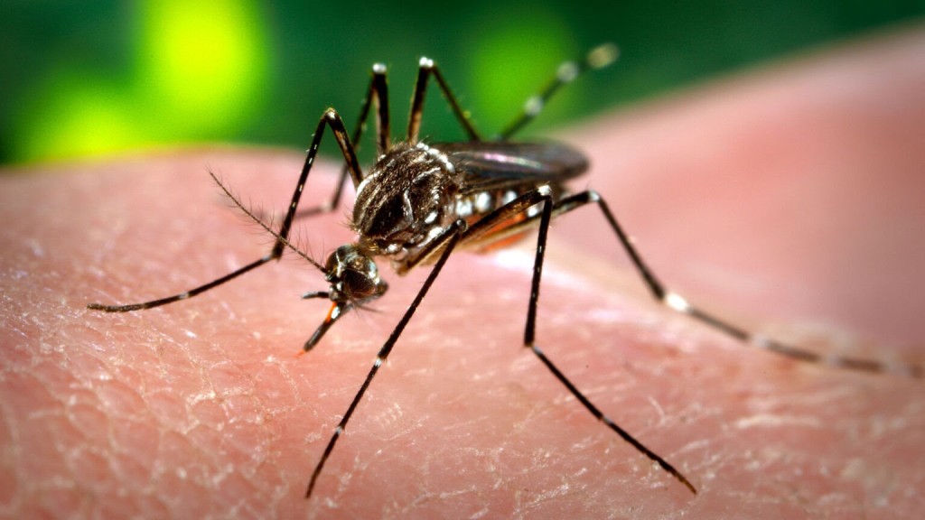 Mor&oacute;n intensifica la prevenci&oacute;n del dengue ante el aumento de las lluvias