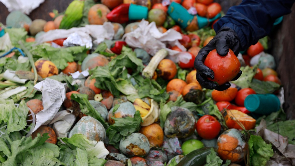 P&eacute;rdida y desperdicio de alimentos: el Colegio de Nutricionistas bonaerense alerta sobre las causas y brinda pautas para frenar el descarte
