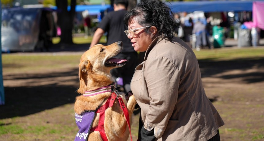 Adopci&oacute;n de perros y gatos: la Ciudad cambia el formato y se acerca a los vecinos
