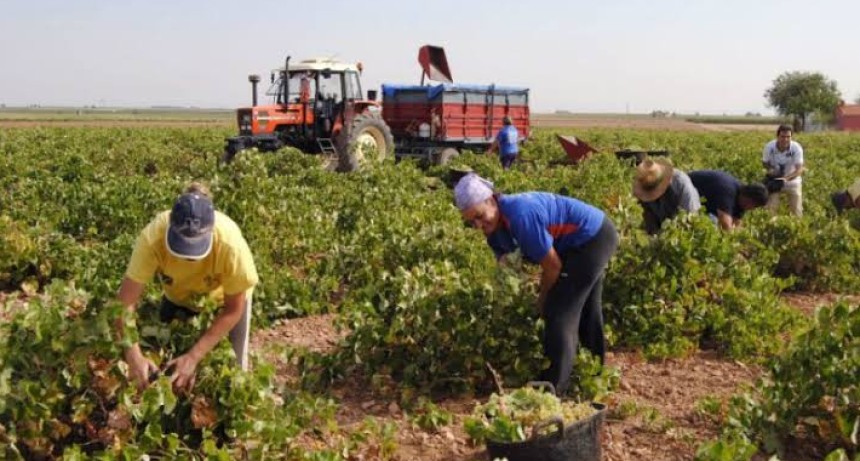 Alerta en el campo: 120.000 empleos rurales podr&iacute;an quedar en riesgo tras vencer un decreto clave