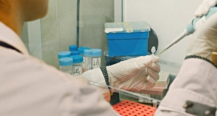 Descubren un blanco terap&eacute;utico contra el c&aacute;ncer de h&iacute;gado m&aacute;s frecuente