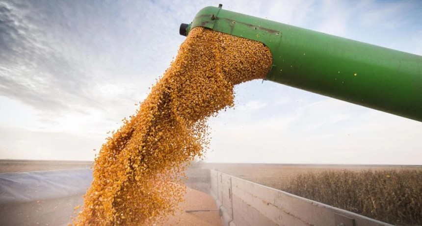 El riesgo clim&aacute;tico obliga al agro a repensar su estrategia de negocio