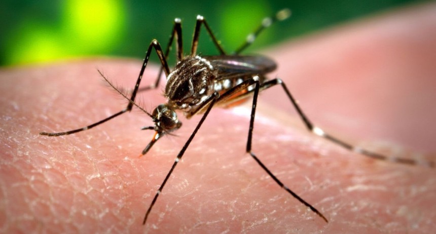 Mor&oacute;n intensifica la prevenci&oacute;n del dengue ante el aumento de las lluvias