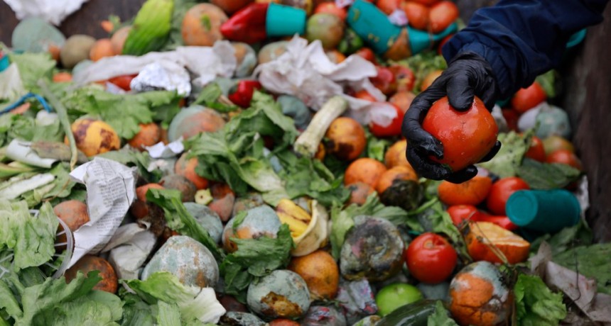 P&eacute;rdida y desperdicio de alimentos: el Colegio de Nutricionistas bonaerense alerta sobre las causas y brinda pautas para frenar el descarte