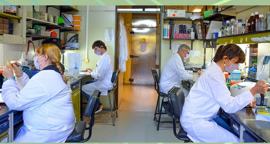 Estudios preclínicos muestran que una vacuna argentina en desarrollo contra el SARS-CoV-2 neutraliza distintas variantes del virus