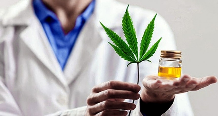 Matías Kulfas, sobre el cannabis medicinal: “Tenemos todo para tener una industria de calidad, que dé soluciones y buenas fuentes de trabajo”