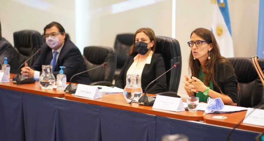 Se presento el proyecto de Comités Mixtos en el ámbito laboral