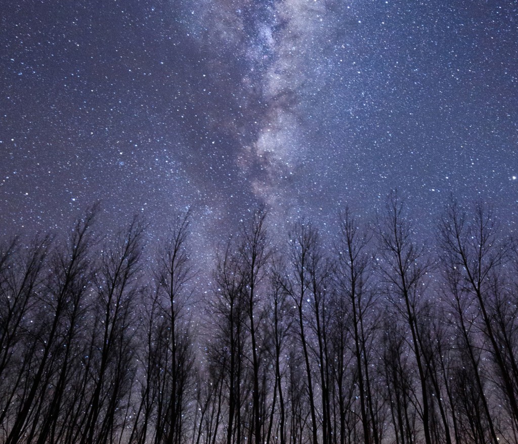 Astroturismo: los cielos bonaerenses regalan fotos inolvidables del universo