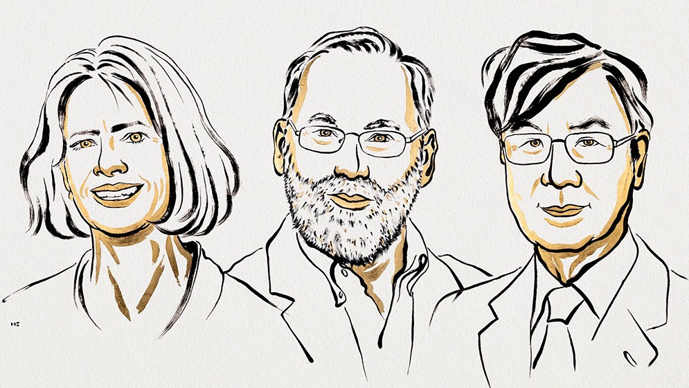 El Premio Nobel de Medicina fue para descubrimientos innovadores sobre la tolerancia inmunológica periférica