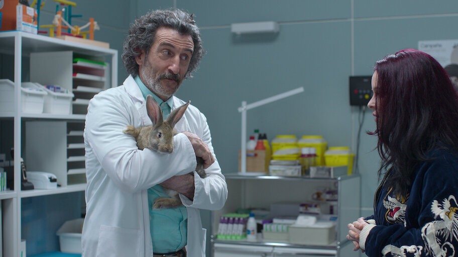 “Animal”: de veterinario rural a boutique de perros mimados, la comedia gallega que conquista