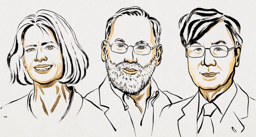 El Premio Nobel de Medicina fue para descubrimientos innovadores sobre la tolerancia inmunológica periférica