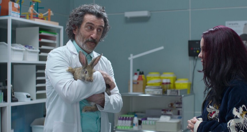 “Animal”: de veterinario rural a boutique de perros mimados, la comedia gallega que conquista