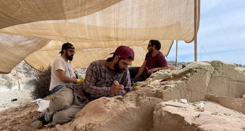 Paleontólogos del CONICET participan de la primera campaña transmitida en vivo para buscar dinosaurios en la estepa patagónica