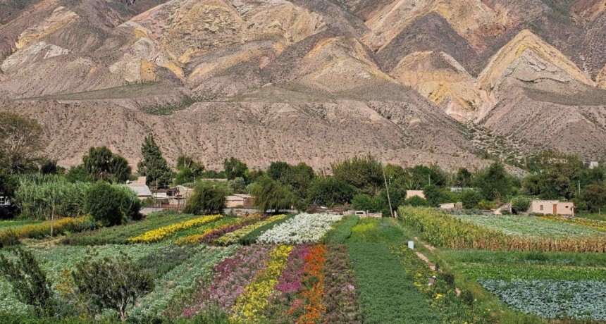 Dos pueblos argentinos entre los mejores destinos rurales del mundo: orgullo para Jujuy y Corrientes
