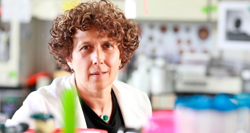 Andrea Gamarnik, la científica argentina que estudia el virus del dengue y rompe el techo de cristal en la investigación