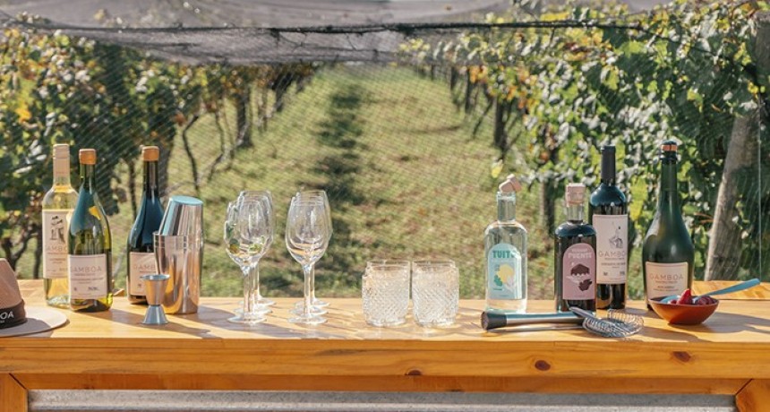 Enoturismo bonaerense: conocé el calendario completo de Vinos Buenos Aires