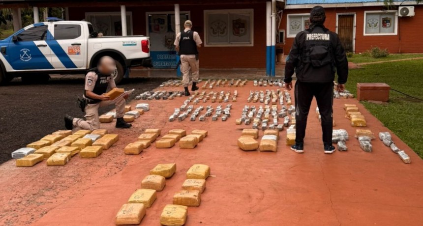 PNA secuestró más de 319 kilos de marihuana valuados en más de 1.190 millones de pesos