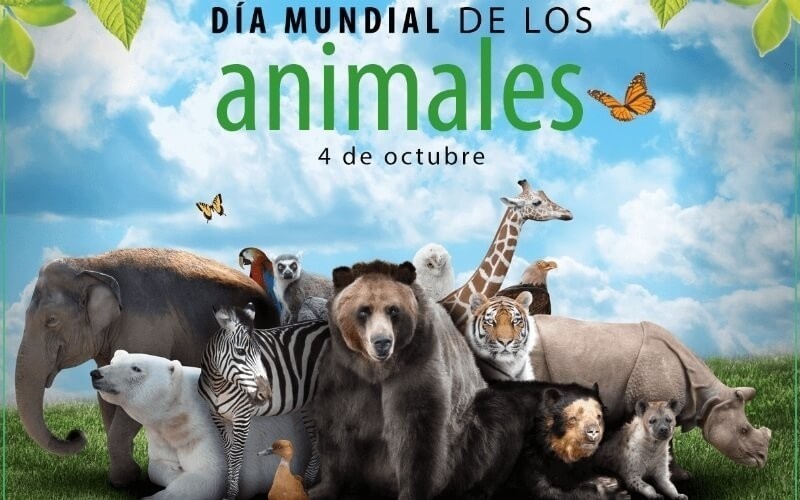 Efem&eacute;rides del 4 de octubre