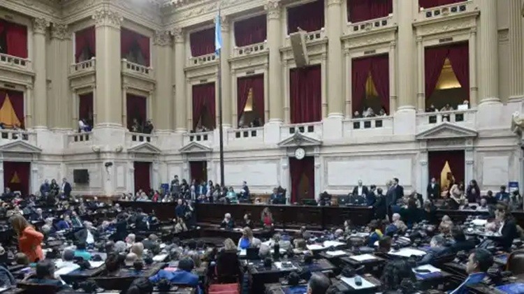 Discapacidad: el Gobierno cedi&oacute; y Diputados aprob&oacute; una ley con m&aacute;s fondos y garant&iacute;as