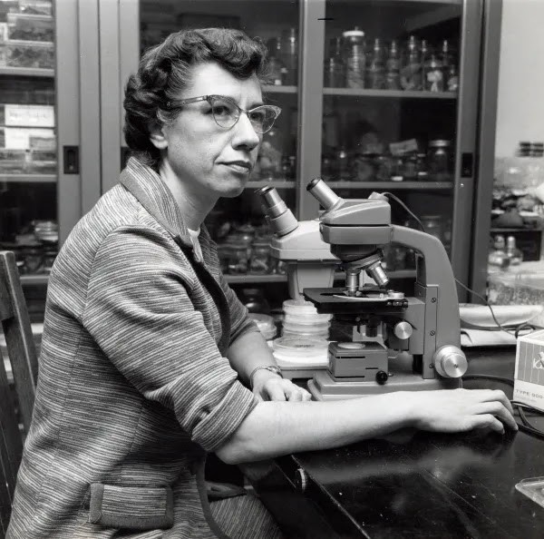  Lois Hattery Tiffany, una sabia "dama entre hongos"