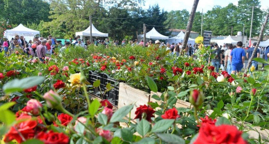 15&deg; Expo Vivero Caz&oacute;n: la primavera florece entre un mill&oacute;n de &aacute;rboles