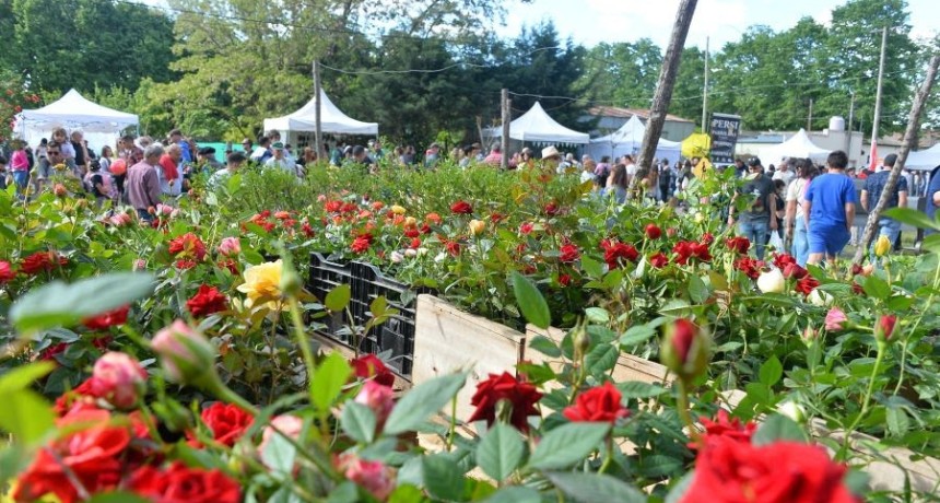 Reprogramaron por las lluvias de la 15.&deg; Expo Vivero Caz&oacute;n: la primavera florece entre un mill&oacute;n de &aacute;rboles.