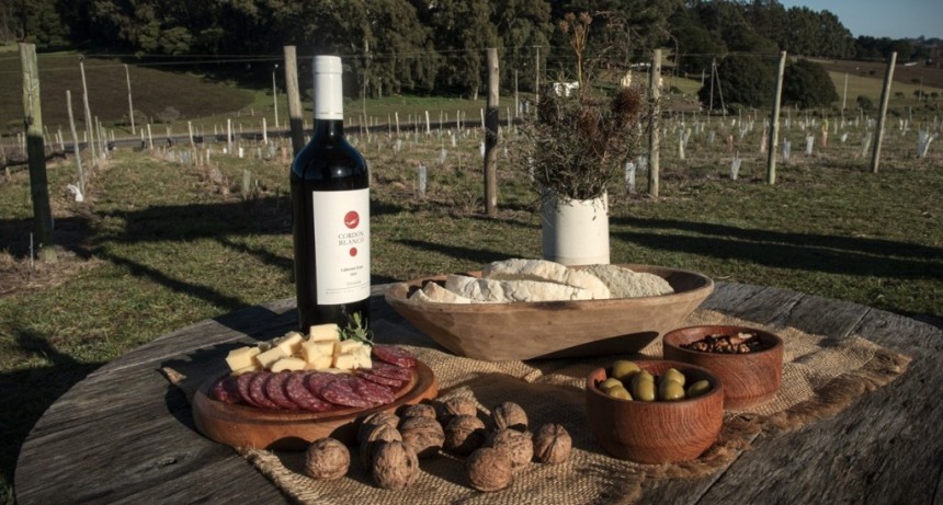 Escapadas a vi&ntilde;edos y olivares para disfrutar el fin de semana largo