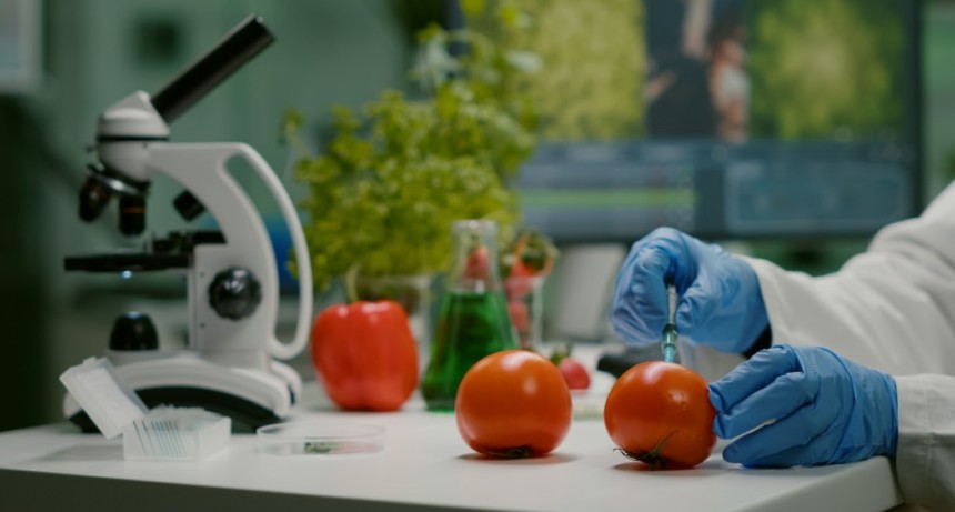 Innovar hoy para nutrir ma&ntilde;ana: ciencia y educaci&oacute;n p&uacute;blica para garantizar una alimentaci&oacute;n saludable y nutritiva