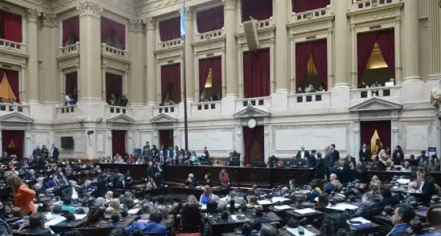 Discapacidad: el Gobierno cedi&oacute; y Diputados aprob&oacute; una ley con m&aacute;s fondos y garant&iacute;as