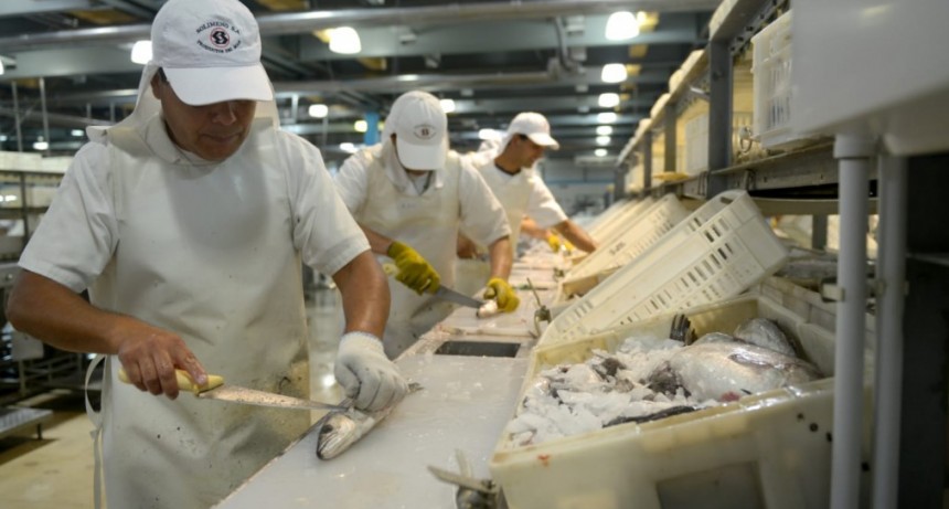 Pesca: Modificaciones en la estructura arancelaria del sector