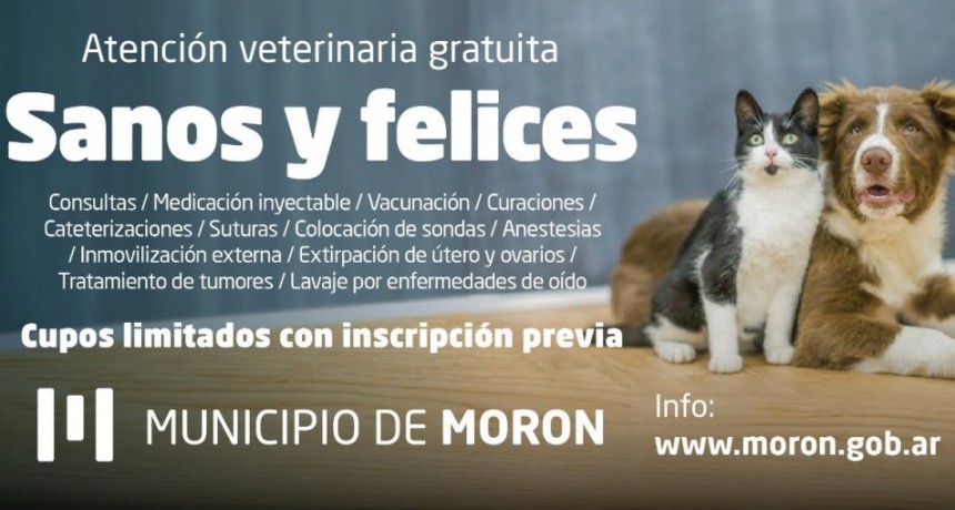 Morón: El Gobierno comunal pone en marcha un Plan de Atención Veterinaria Gratuita