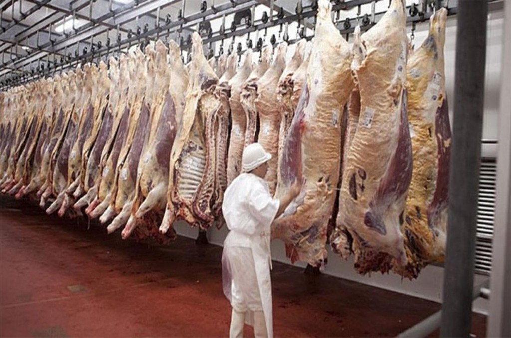 Se abre un nuevo mercado: Argentina exportará carne bovina a México