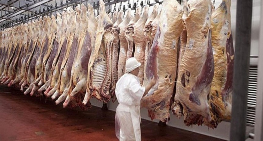 Se abre un nuevo mercado: Argentina exportará carne bovina a México