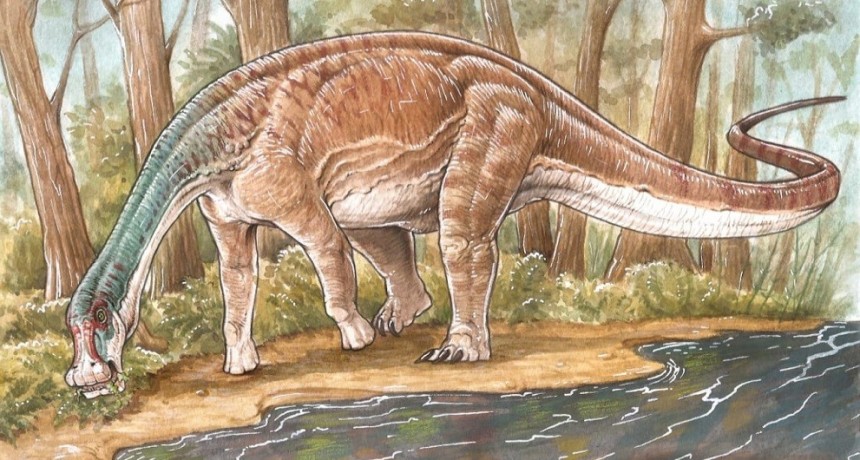 Descubren una nueva especie de dinosaurio titanosaurio en Neuquén