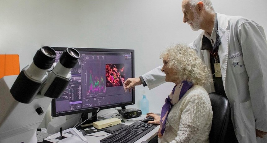 Desarrollan un biosensor capaz de determinar la energía disponible en células de bacterias, plantas y animales