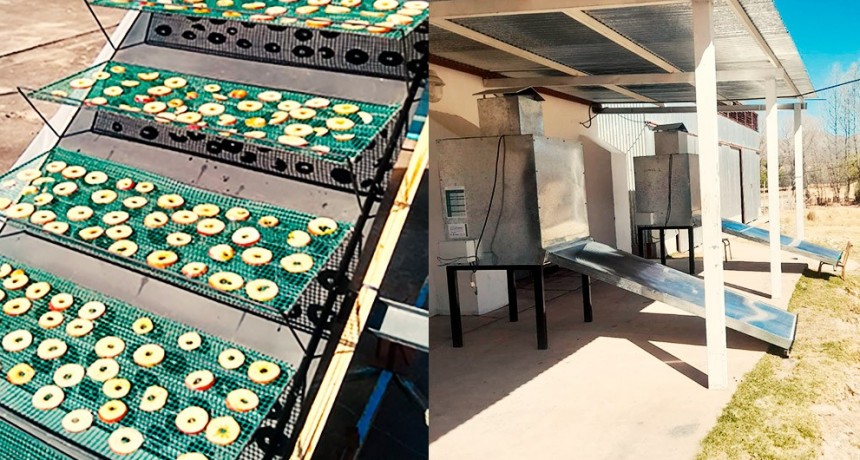 Deshidratadores solares para el fortalecimiento de productores frutihortícolas de Humahuaca