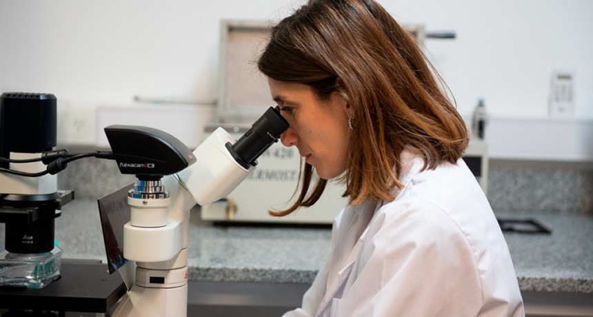 PREMIO L´ORÉAL – UNESCO: beca para la científica que desarrolla un stent cardiovascular capaz de desintegrarse cuando el cuerpo ya no lo necesita
