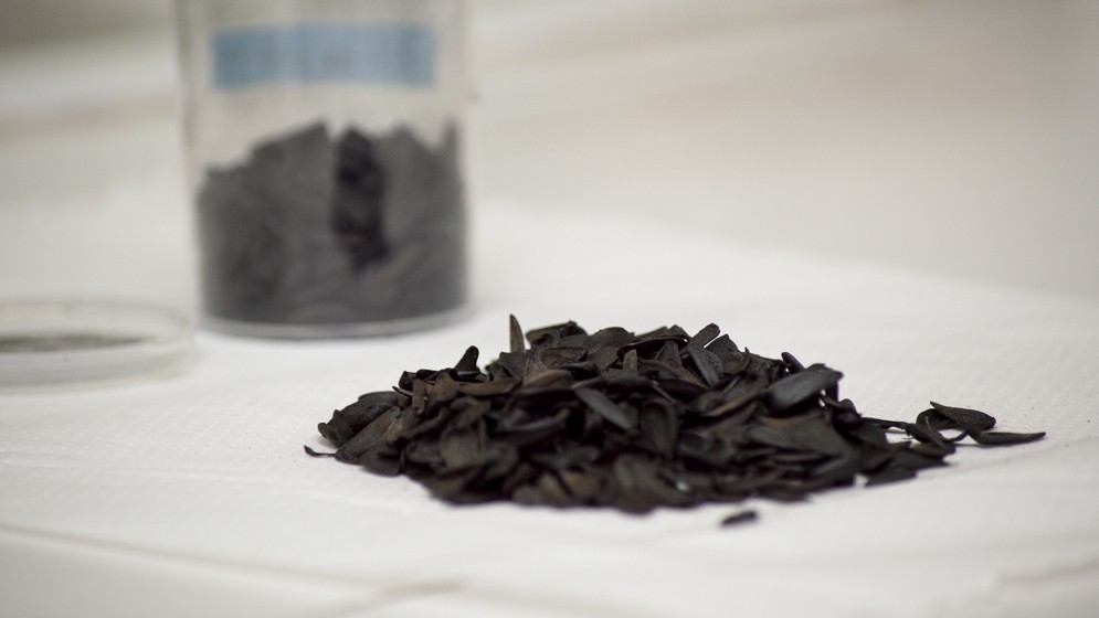 Investigadores del CONICET desarrollan un método simple y económico para eliminar arsénico y nitratos del agua