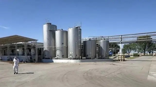 Chau Shimy: quiebra la empresa que fabricaba los postres de SanCor y deja 400 trabajadores en la calle