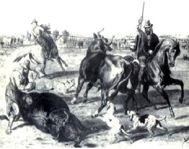 De los antiguos mataderos a los modernos frigoríficos: una radiografía de la Argentina