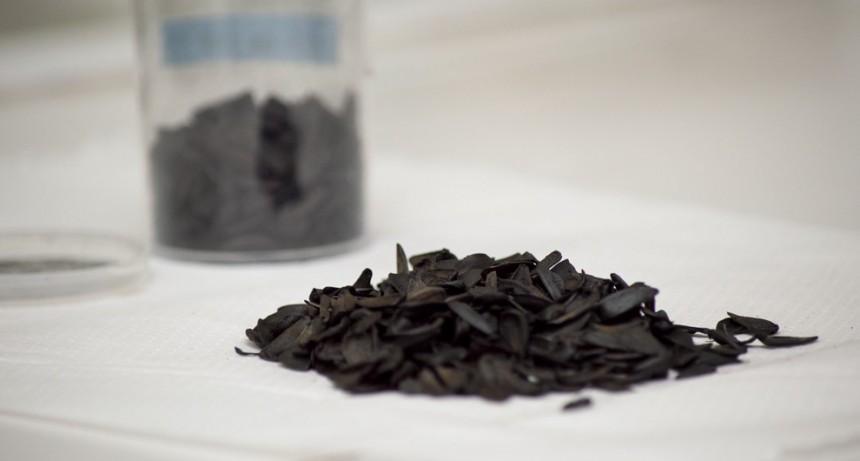 Investigadores del CONICET desarrollan un método simple y económico para eliminar arsénico y nitratos del agua