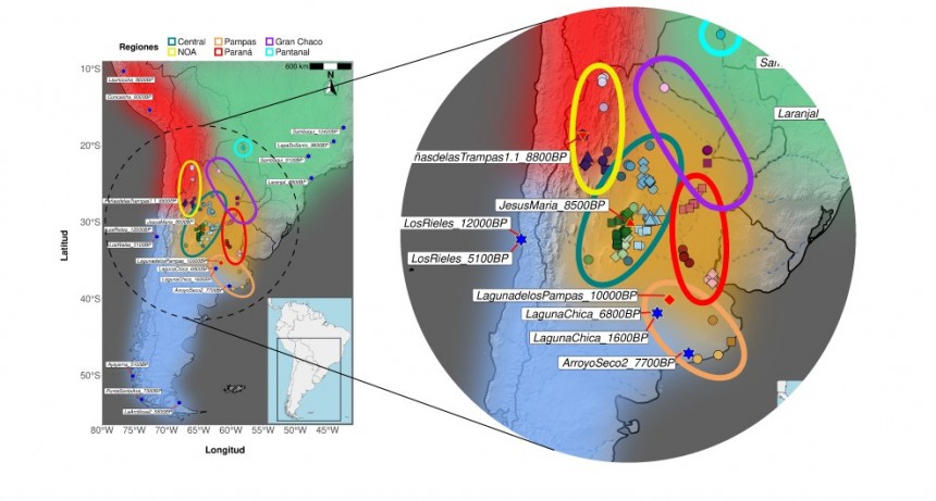 Un estudio internacional dirigido por científicos del CONICET identificó un componente genético propio del centro de Argentina