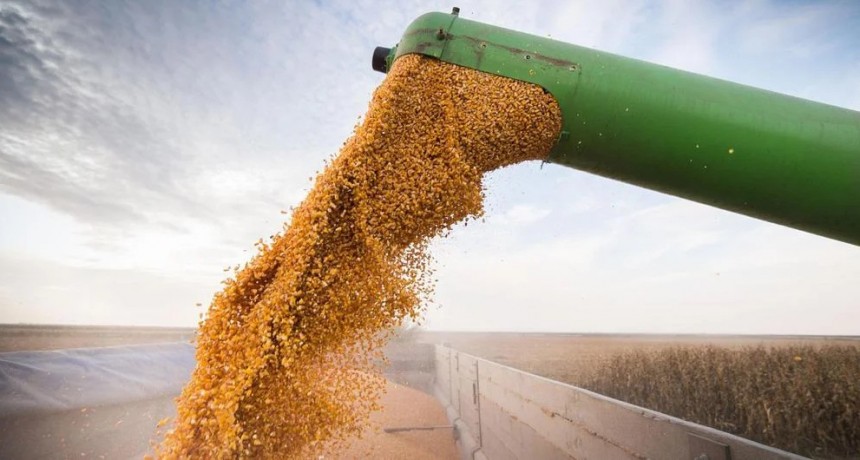 La recaudación por retenciones cayó al nivel más bajo en siete años: el costo de la “fiesta” Milei-Caputo