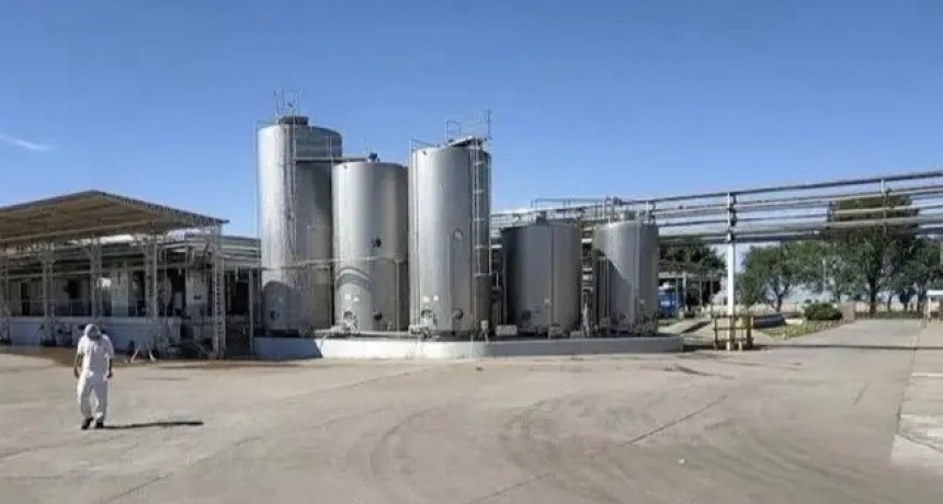 Chau Shimy: quiebra la empresa que fabricaba los postres de SanCor y deja 400 trabajadores en la calle